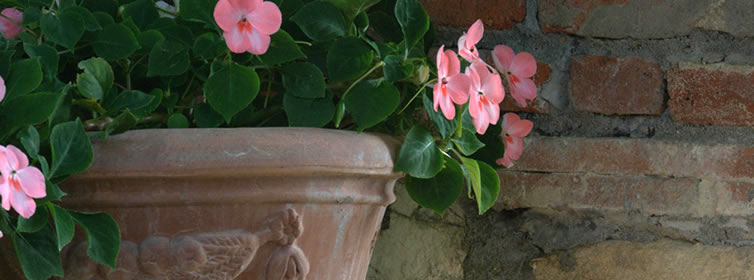 Villa Pepi - Vigliano - Rignano sull'Arno - Firenze