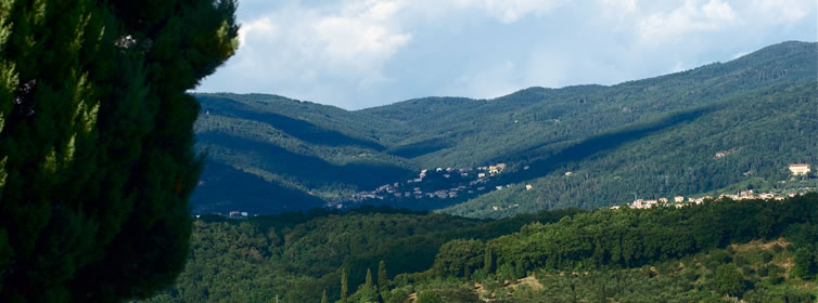 Villa Pepi - Vigliano - Rignano sull'Arno - Firenze